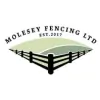 Molesey Fencing