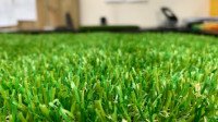 Artificial Grass