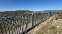 Palisade Fencing